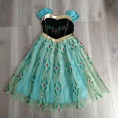 アナと雪の女王 花柄刺繍 ドレス 110cm