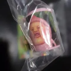こびとづかん コインケース カクレモモジリ