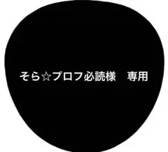 2025年最新】プロフ必読の人気アイテム - メルカリ
