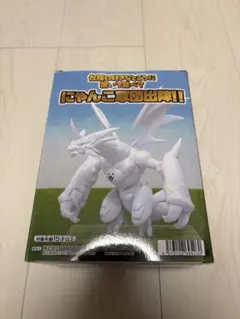 ネコムート
