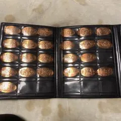 スーベニアメダル 31枚