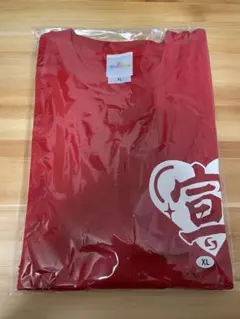 超 宣伝部員のための定番Tシャツ 超ときめきレッド 坂井仁香 Mサイズ 超 宣伝部員のための定番Tシャツ 坂井仁香 超ときめきレッド Mサイズ