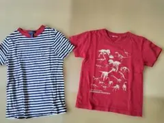 Tシャツ 2枚セット
