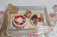 ミニチュアケーキセット⑤