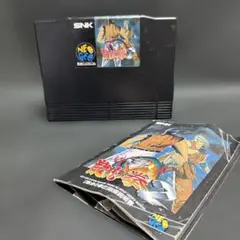 〈破格〉NEOGEO ネオジオ　龍虎の拳2 カセット&説明書