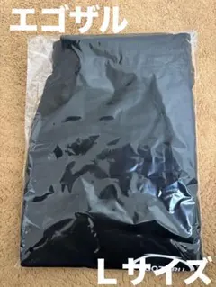 Item thumbnail for item b7a4c5e6-5d53-4bfe-a428-dd2994767a91