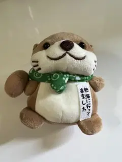 さすらいの旅　カワウソ　熱海　限定