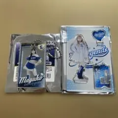 埼玉西武ライオンズ bluelegends ブルレジェ 2点セット