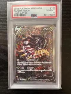 m84936678046_1.jpg?1772857795