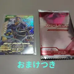 仮面ライダー　リバイス　カード