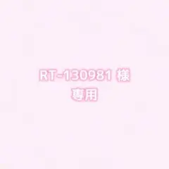 RT-130981様専用