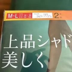 Atsugi 60デニール ベージュ タイツ M-L 2足入り ヌードトゥ