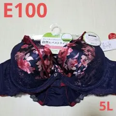 新品未使用 E100 5L ブラジャー ショーツ ネイビー 大きいサイズ