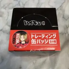 ハイキュー トレーディング缶バッジ BOX