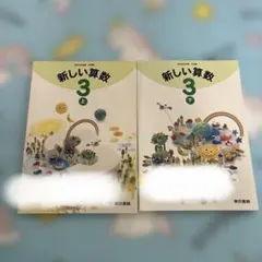 新しい算数 3年 上・下 教師用指導書 - メルカリ