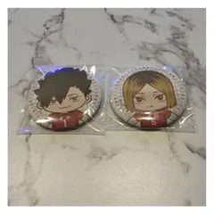 【ハイキュー】