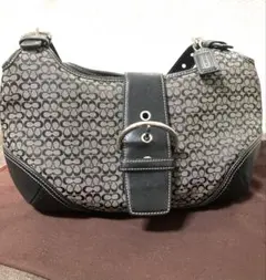 はぴぴ様専用COACH 肩掛け 黒
