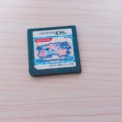 とんがりボウシと魔法のお店 任天堂 Nintendo DS ソフトのみ