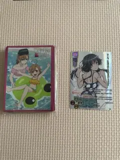 商品説明をご覧ください【ワンオーナー品】服部平次 遠山和葉 PR
