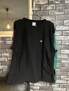 チャンピオン リバースウィーブ マルチカラー 紫黒緑