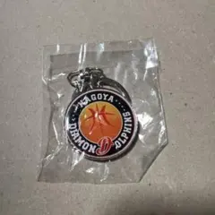 名古屋ダイヤモンドドルフィンズ キーホルダー