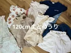 Item thumbnail for item 6d778d10-f55a-480b-b8f1-b79a3f03621f