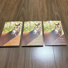 AUTUMN SALE 2022 冊子 競馬