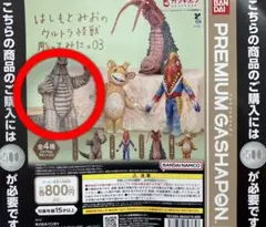 はしもとみおのウルトラ怪獣彫ってみた。03 レッドキング