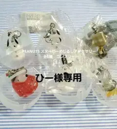 PEANUTS スヌーピーめじるしアクセサリー　全6種　コンプリート
