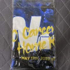 横浜DeNAベイスターズ ネフタリ・ソト 選手150本塁打記念タオル