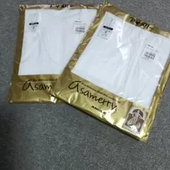 Item thumbnail for item 65e3c846-f781-40f3-ae5d-476e4c0d4afa