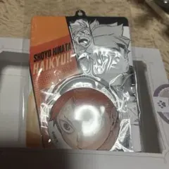 ハイキュー　缶バッジ　特製ホルダーコレクション