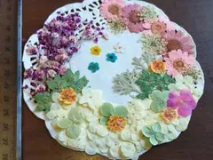 Item thumbnail for item 89746b4b-4bd7-417b-9327-b66f6e9b4f1c