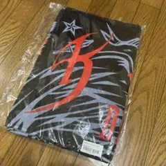 氷室京介 ライブグッズ バスタオル 2枚セット 氷室京介 横浜スタジアム FINAL フード付きバスタオル