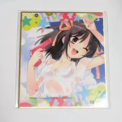 涼宮ハルヒの憂鬱 涼宮ハルヒシリーズくじ ミニ色紙B