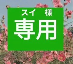 Item thumbnail for item 355bd213-4e97-4099-90b2-bf06c8775a6b