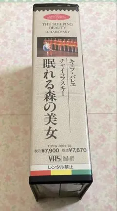 キエフバレエ　チャイコフスキー　眠れぬ森の美女　VHS2巻セット