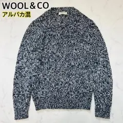 2026年最新】WOOL&CO ネック：クルーネック メンズ ニット・セーターの 