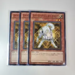 2026年最新】ライトロード・ハンター ライコウ GS03-JP007 GRの人気