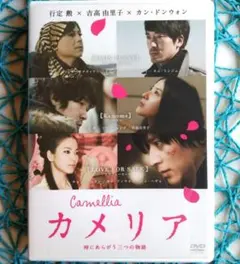 Item thumbnail for item 8c0c1c4a-1cb5-4d5b-93d4-1d6bdde57a3f