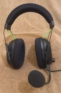 Item thumbnail for item 03652bea-eb1f-4034-b534-926bf5f2342d