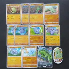 ヨーギラス進化系統まとめ売り　12枚のサムネイル