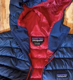 最高カラー　Patagonia パタゴニア ダウンセーターフーディ　#84701