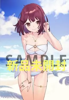 ソフィーのアトリエ　B2タペストリー　ソフィー　水着ver 駿河屋 -<中古>ソフィー 描き下ろしB2タペストリー 「PS4/switch