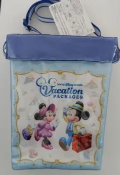 ディズニー　ポップコーンケース　バケーションパッケージ　バケパ　Disneyのサムネイル
