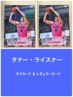 Item thumbnail for item 1b4eaa4c-eb4b-492d-a091-310225da8a31