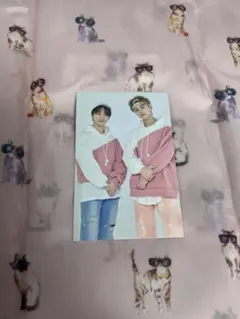 SEVENTEEN カラットランド　ディノ＆バーノントレカ