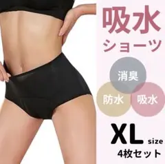 パンツ サニタリー 吸水ショーツ XLサイズ 下着 黒 レディース 4枚組 a8