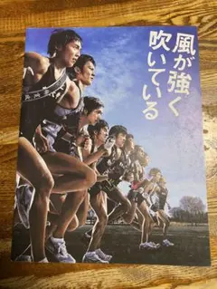 Item thumbnail for item ed1fe7e1-70c7-4c1f-ab28-0c6da5ceb001