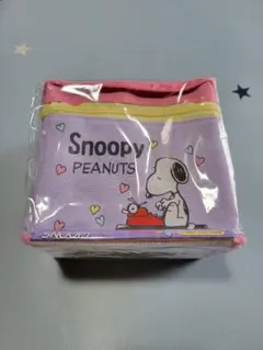Snoopy ペイントツインマーカー 60本セット